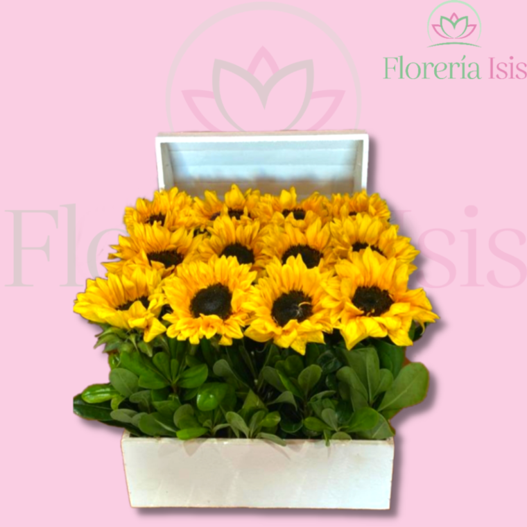 Cofre chico girasol Florería Isis Envio de Flores a Domicilio