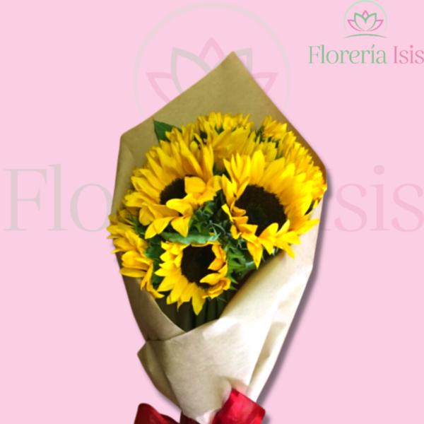 10 GIRASOLES