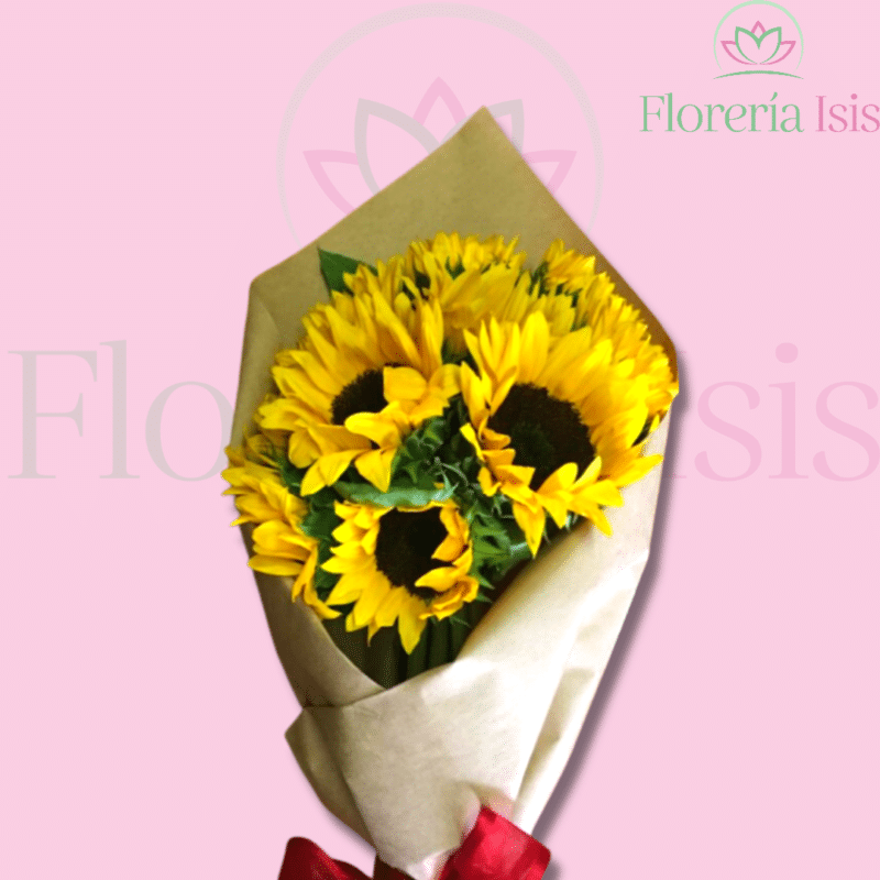GIRASOLES - Florería Isis - Envio de Flores a Domicilio Tijuana, Floreria  en Linea Tijuana, Arreglos Florales Tijuana