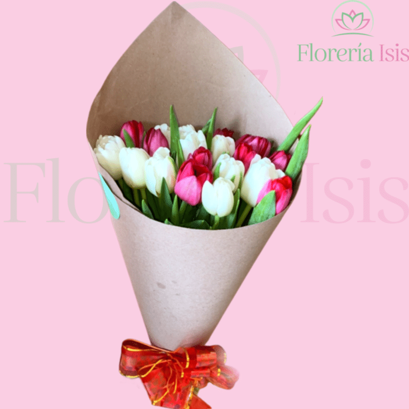 Ramo de 20 Tulipanes - Florería Isis - Envio de Flores a Domicilio Tijuana,  Floreria en Linea Tijuana, Arreglos Florales Tijuana