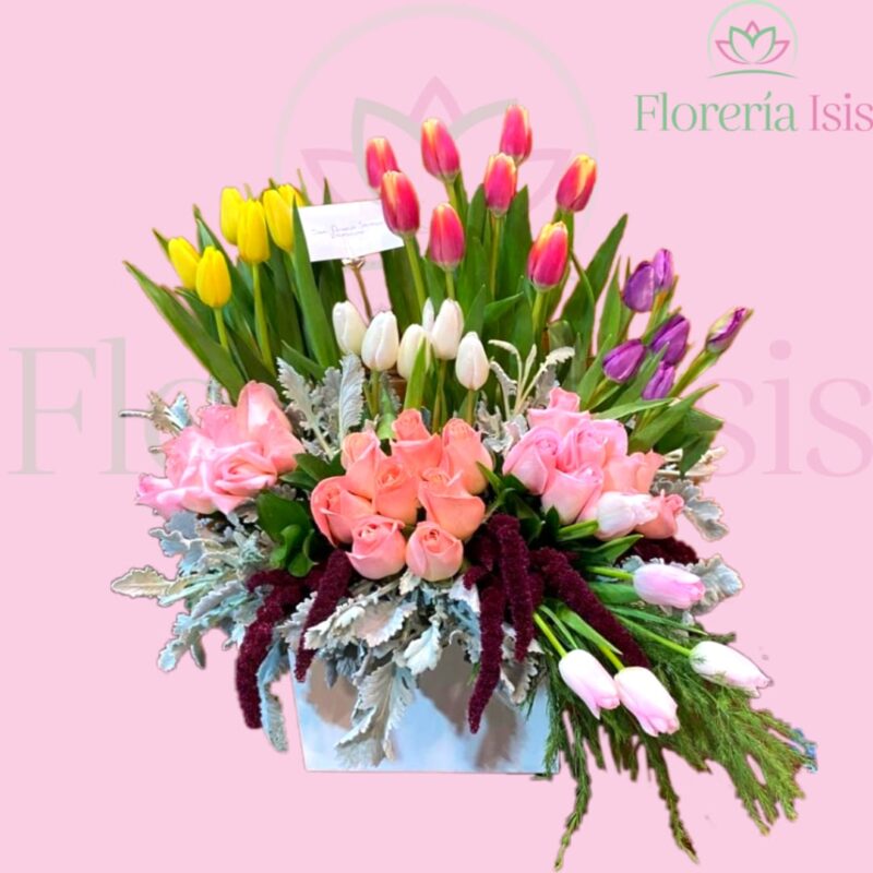 Cubo con Tulipanes - Florería Isis - Envio de Flores a Domicilio Tijuana,  Floreria en Linea Tijuana, Arreglos Florales Tijuana