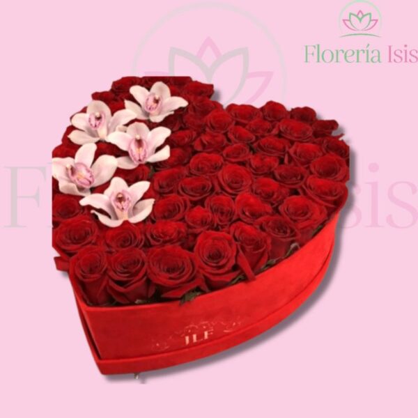 Caja corazón de 70 rosas y orquídeas