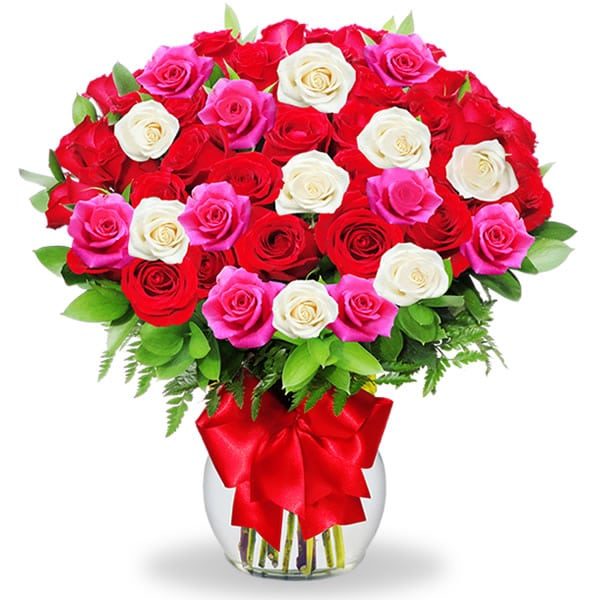 Florero con 50 rosas fucsia, blancas y rojas
